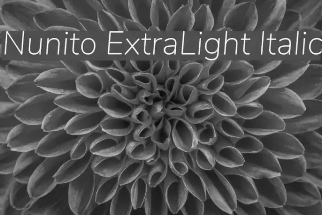 Nunito ExtraLight Italic Font examples