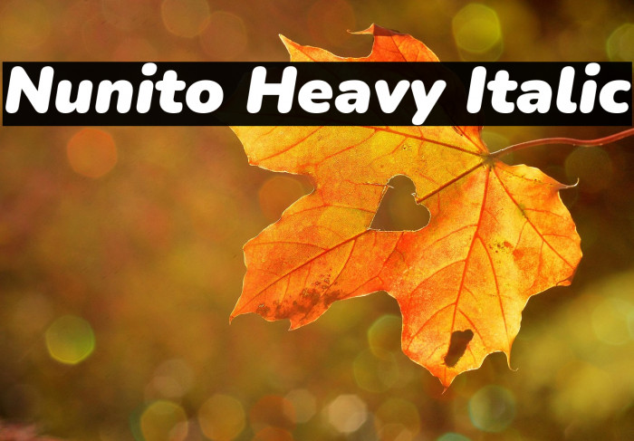 Nunito Heavy Italic Example 1
