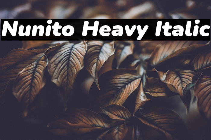 Nunito Heavy Italic Example 2