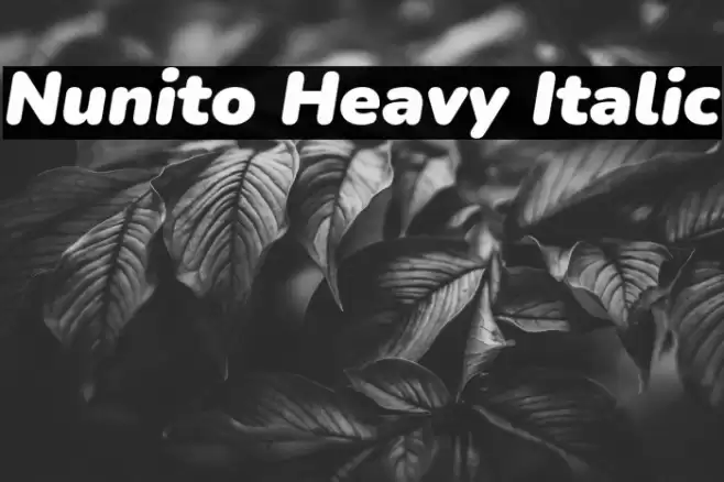 Nunito Heavy Italic Font examples