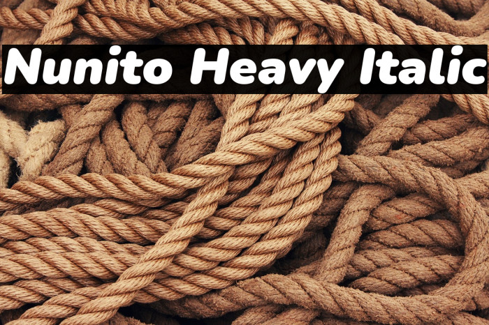 Nunito Heavy Italic Example 3