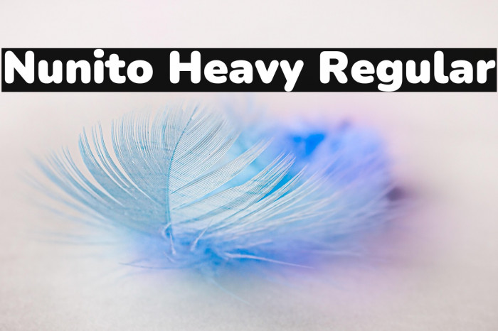 Nunito Heavy Regular Example 1