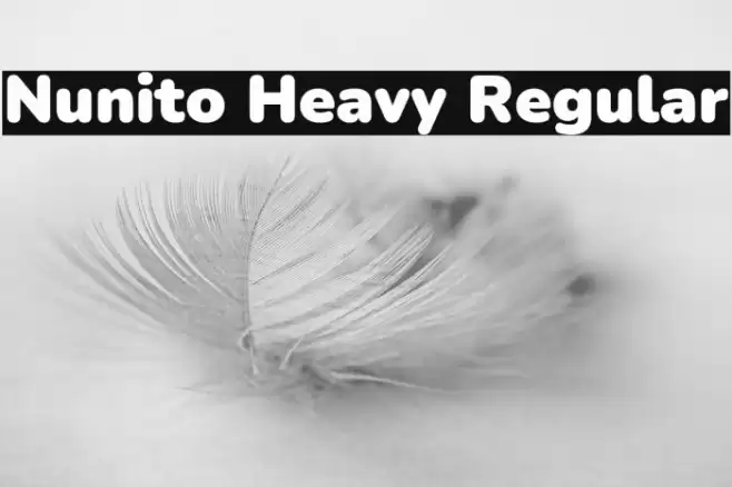 Nunito Heavy Regular Font examples