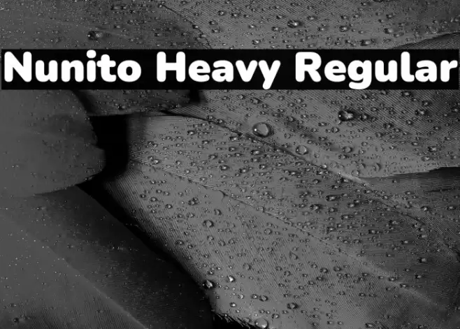 Nunito Heavy Regular Font examples