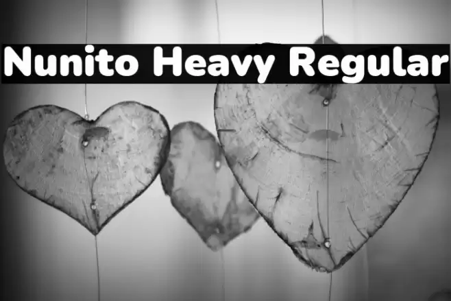 Nunito Heavy Regular Font examples