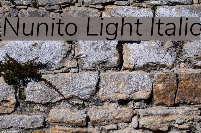 Nunito Light Italic Font examples