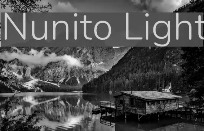 Nunito Light Font examples