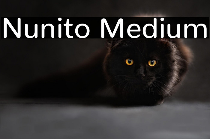 Nunito Medium Example 1