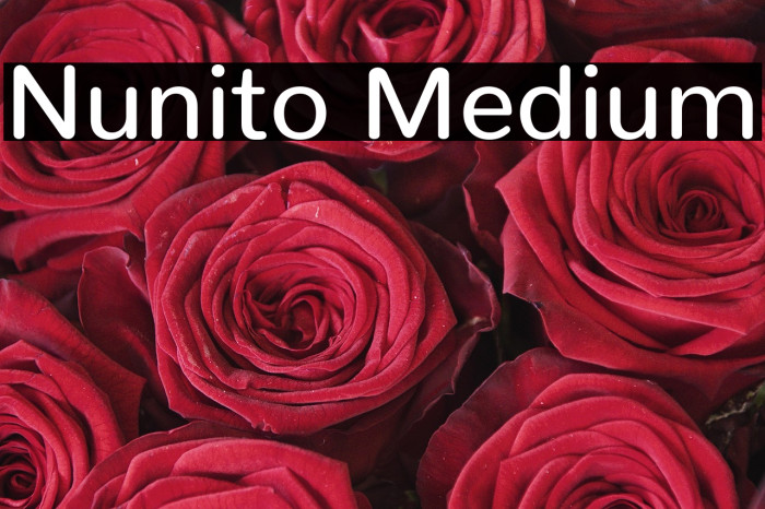 Nunito Medium Example 2