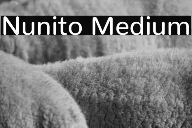 Nunito Medium Example 3