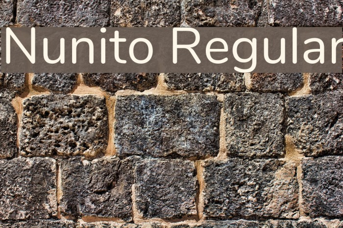 Nunito Regular Polices examples