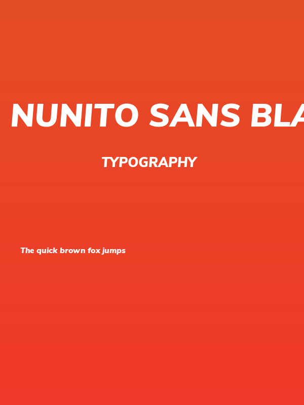 Nunito Sans Black Italic Poster