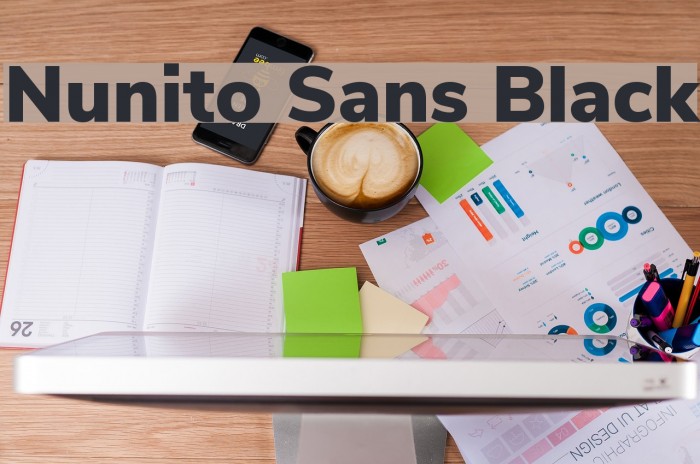Nunito Sans Black Font examples