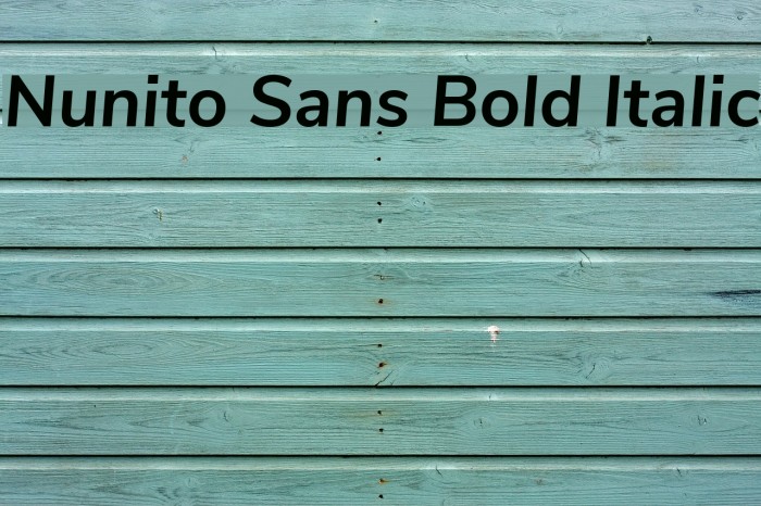 Nunito Sans Bold Italic Fuentes examples