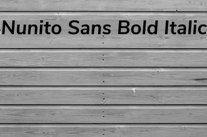 Nunito Sans Bold Italic Font examples