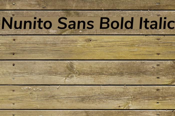 Nunito Sans Bold Italic Fuentes examples