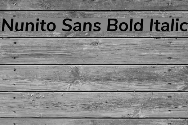 Nunito Sans Bold Italic Font examples