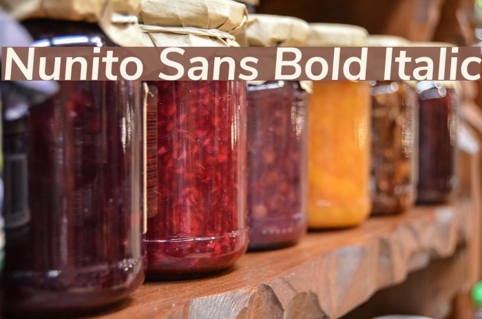 Nunito Sans Bold Italic Fuentes examples