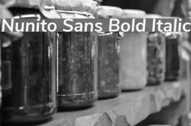Nunito Sans Bold Italic Font examples