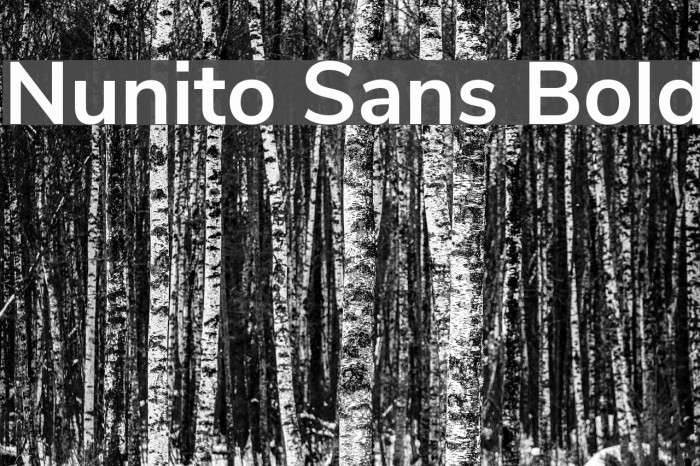 Nunito Sans Bold Font examples
