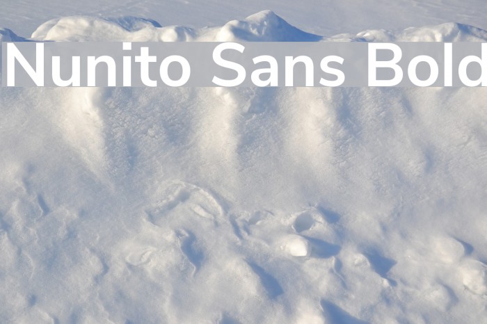 Nunito Sans Bold Font examples