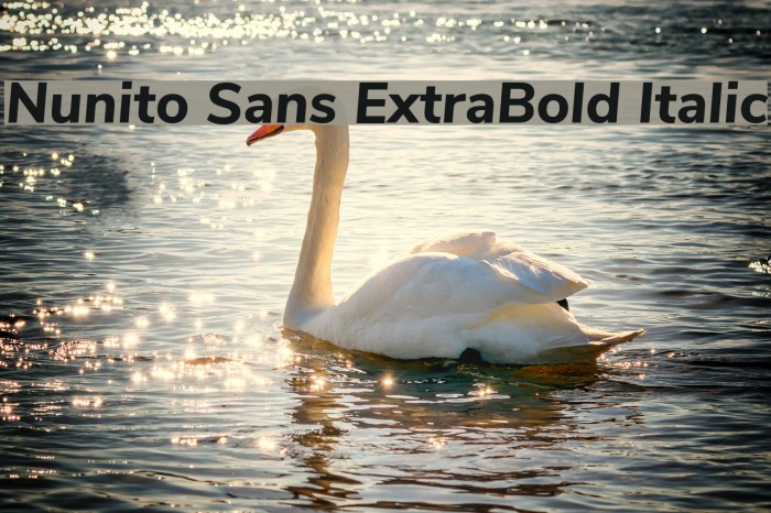 Nunito Sans ExtraBold Italic Font examples
