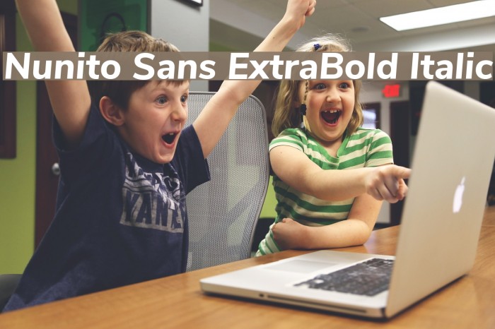 Nunito Sans ExtraBold Italic Font examples