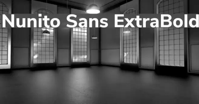 Nunito Sans ExtraBold Font examples