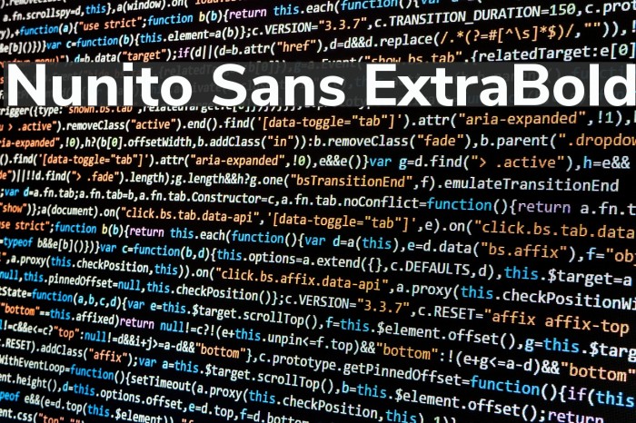 Nunito Sans ExtraBold Font examples