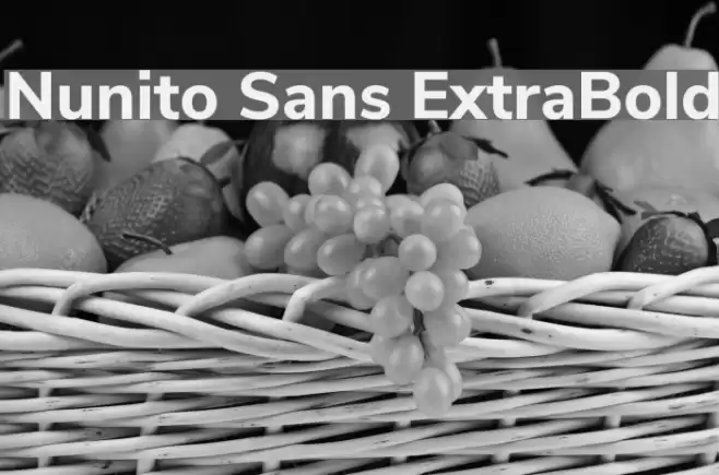 Nunito Sans ExtraBold Font examples