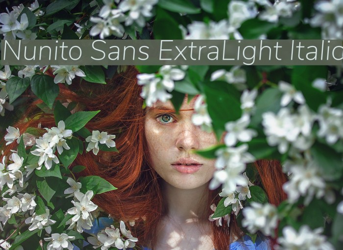 Nunito Sans ExtraLight Italic Font examples
