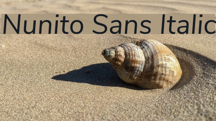 Nunito Sans Italic Font examples