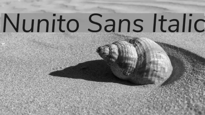 Nunito Sans Italic Font examples