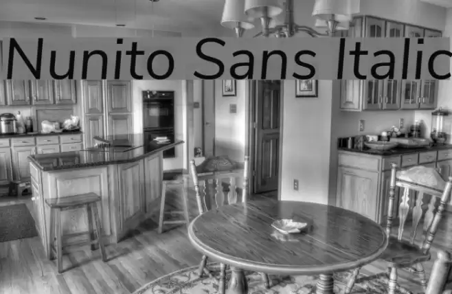 Nunito Sans Italic Font examples