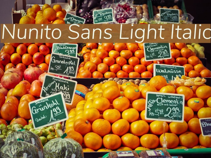 Nunito Sans Light Italic Font examples