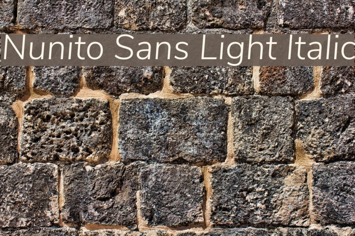 Nunito Sans Light Italic Font examples