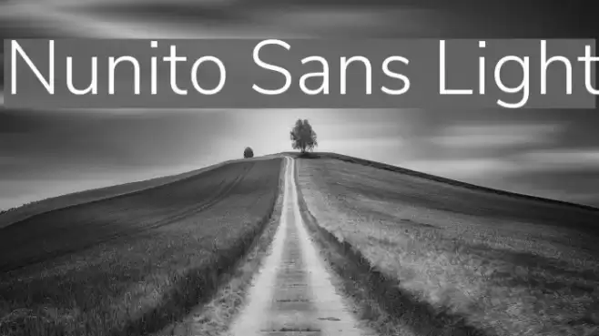 Nunito Sans Light Font examples