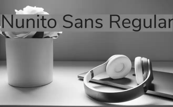 Nunito Sans Regular Font examples