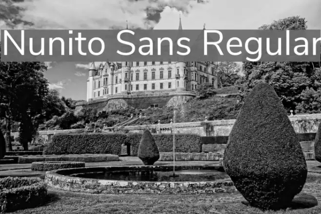 Nunito Sans Regular Font examples