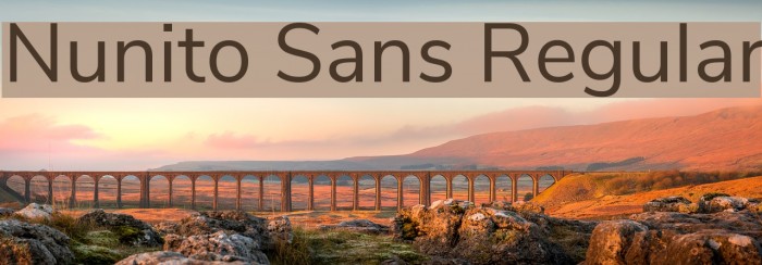 Nunito Sans Regular Font examples