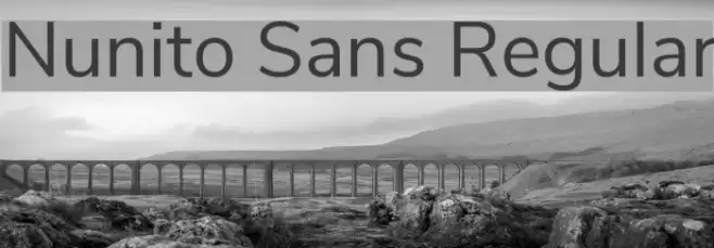 Nunito Sans Regular Font examples