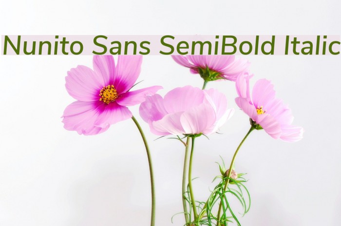 Nunito Sans SemiBold Italic Font examples