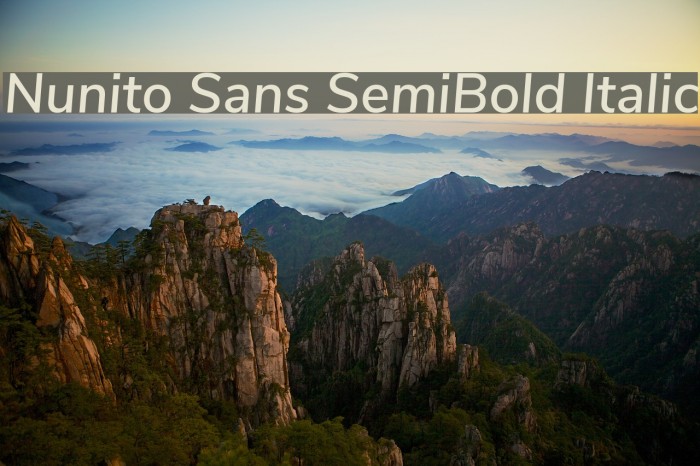 Nunito Sans SemiBold Italic Font examples