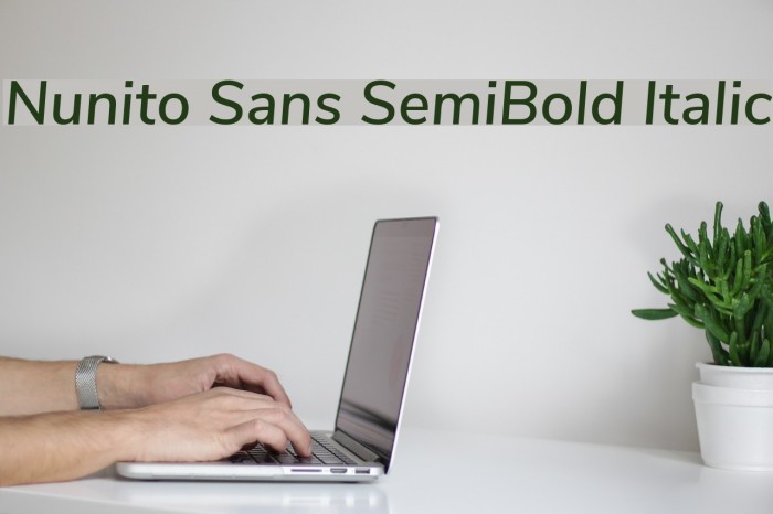 Nunito Sans SemiBold Italic Font examples