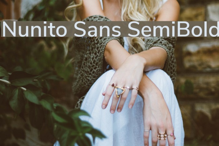 Nunito Sans SemiBold Font examples