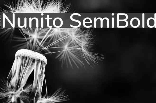 Nunito SemiBold Font examples