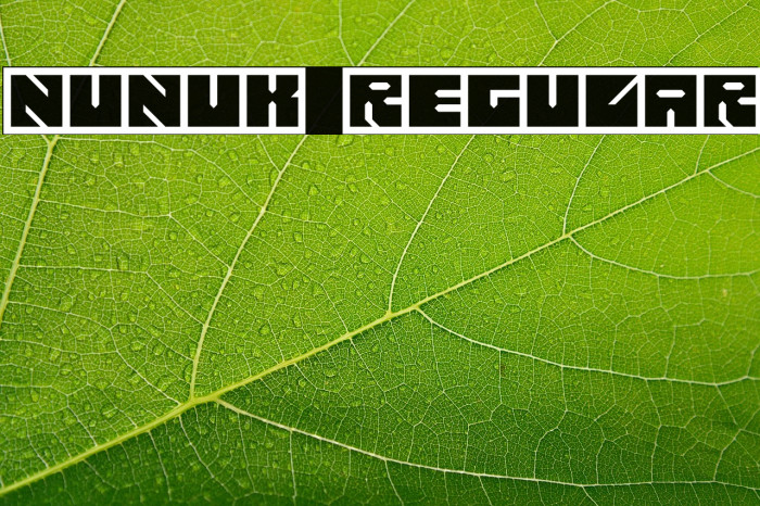 Nunuk Regular Example 1