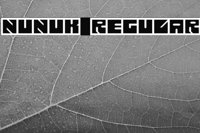 Nunuk Regular Caratteri examples