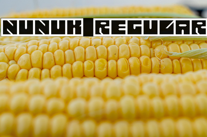 Nunuk Regular Example 2