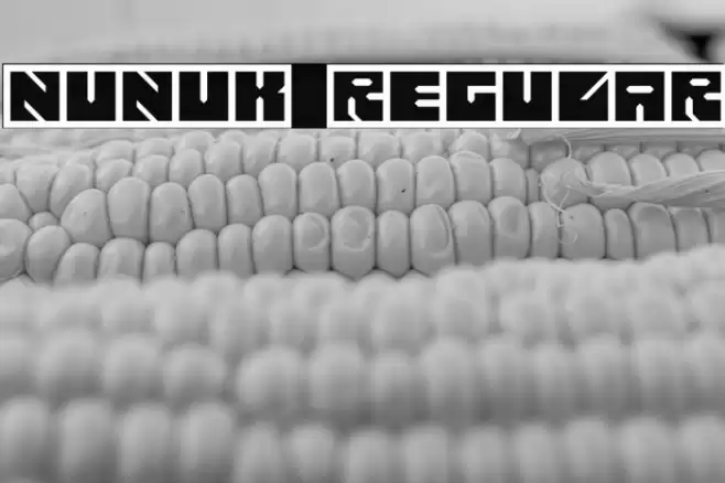 Nunuk Regular Caratteri examples